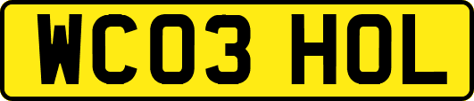 WC03HOL