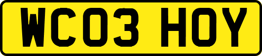 WC03HOY