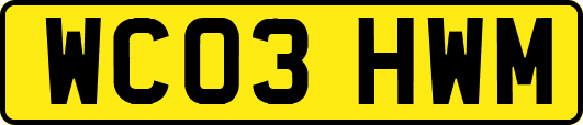 WC03HWM