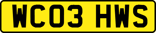WC03HWS