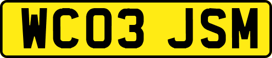 WC03JSM