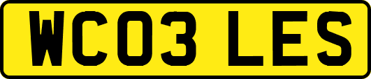 WC03LES