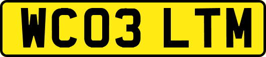WC03LTM