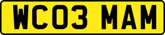 WC03MAM