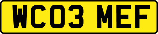 WC03MEF
