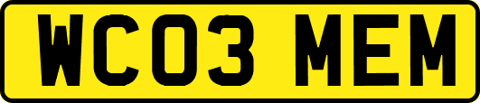 WC03MEM