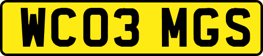 WC03MGS