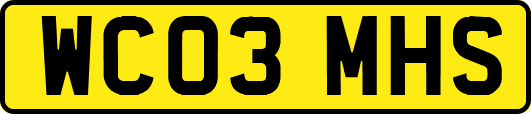 WC03MHS