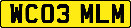 WC03MLM