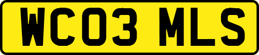 WC03MLS