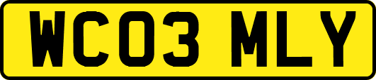 WC03MLY