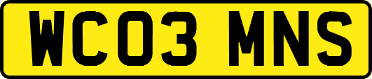 WC03MNS