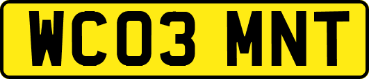 WC03MNT