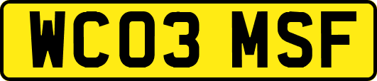 WC03MSF