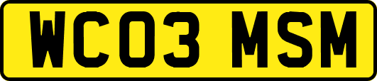WC03MSM