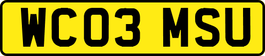 WC03MSU