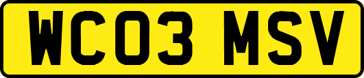WC03MSV