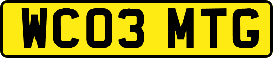 WC03MTG