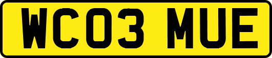 WC03MUE
