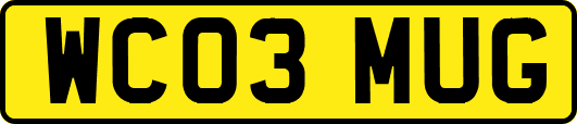 WC03MUG