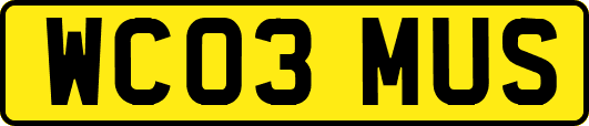 WC03MUS