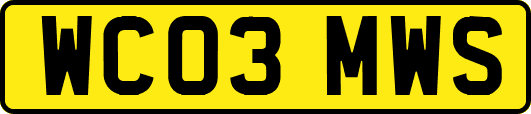 WC03MWS