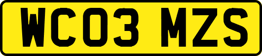 WC03MZS