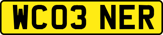 WC03NER
