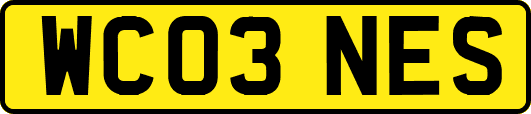 WC03NES