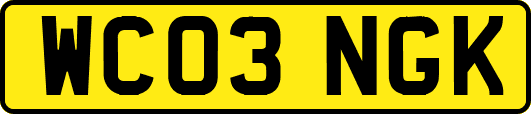 WC03NGK