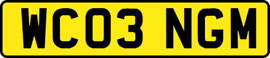 WC03NGM