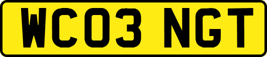 WC03NGT