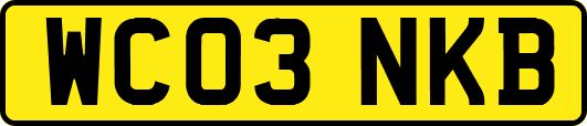 WC03NKB