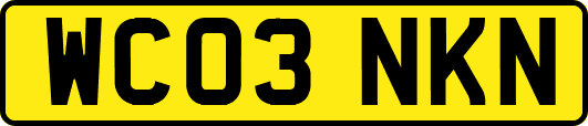 WC03NKN