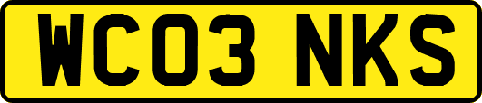 WC03NKS