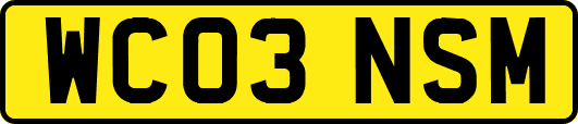 WC03NSM