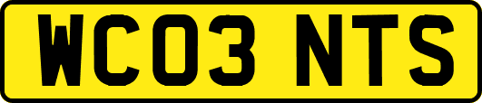 WC03NTS