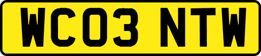 WC03NTW
