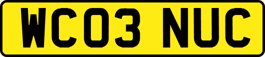 WC03NUC