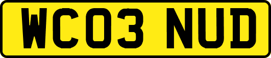 WC03NUD