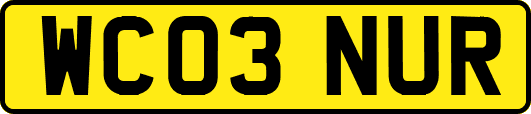 WC03NUR