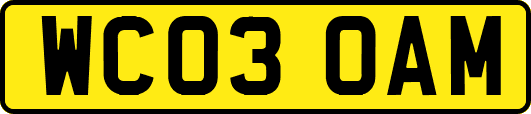 WC03OAM
