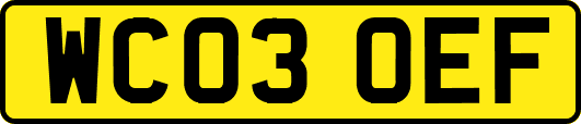 WC03OEF