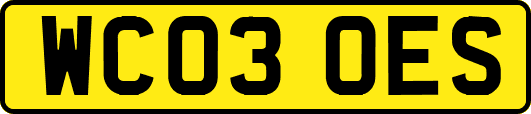 WC03OES