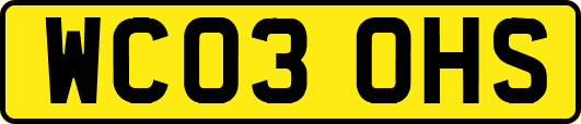 WC03OHS