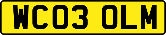 WC03OLM