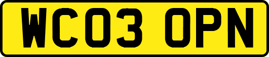 WC03OPN