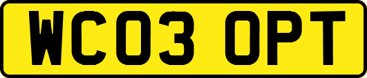 WC03OPT