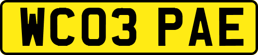 WC03PAE
