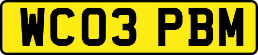 WC03PBM